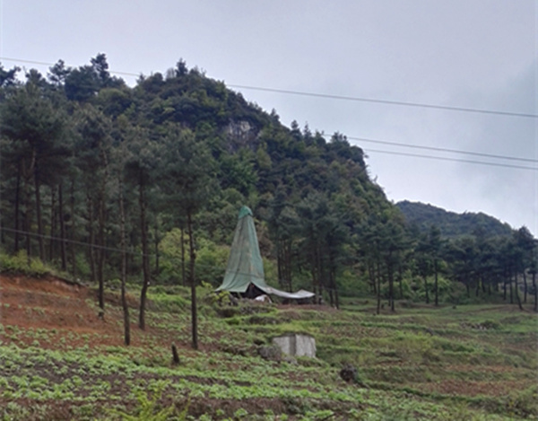 把脈“黔”鋅地，問診開良方