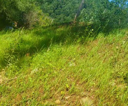 柳關(guān)欒盧鉛鋅礦|治理排土“瘡疤”，繪就綠色畫卷